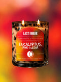 Large Scented Candle - Eucalyptus, Pine & Cedar